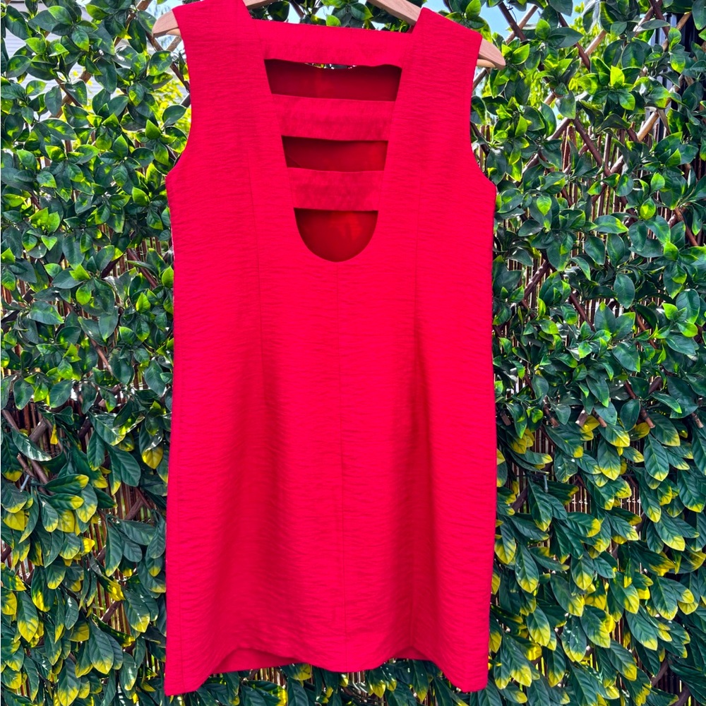 Red Sleeveless, Birds of North America brand Sundress-size 6- Made in 🇨🇦